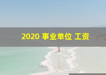 2020 事业单位 工资